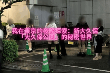 我在東京的夜晚探索：新大久保「大久保公園」的秘密世界