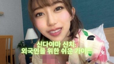신다야마 신치: 외국인을 위한 쉬운 가이드