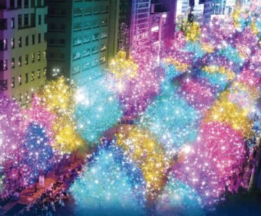 Midosuji Illumination 2025 – Osaka’s Magical Winter Light Street